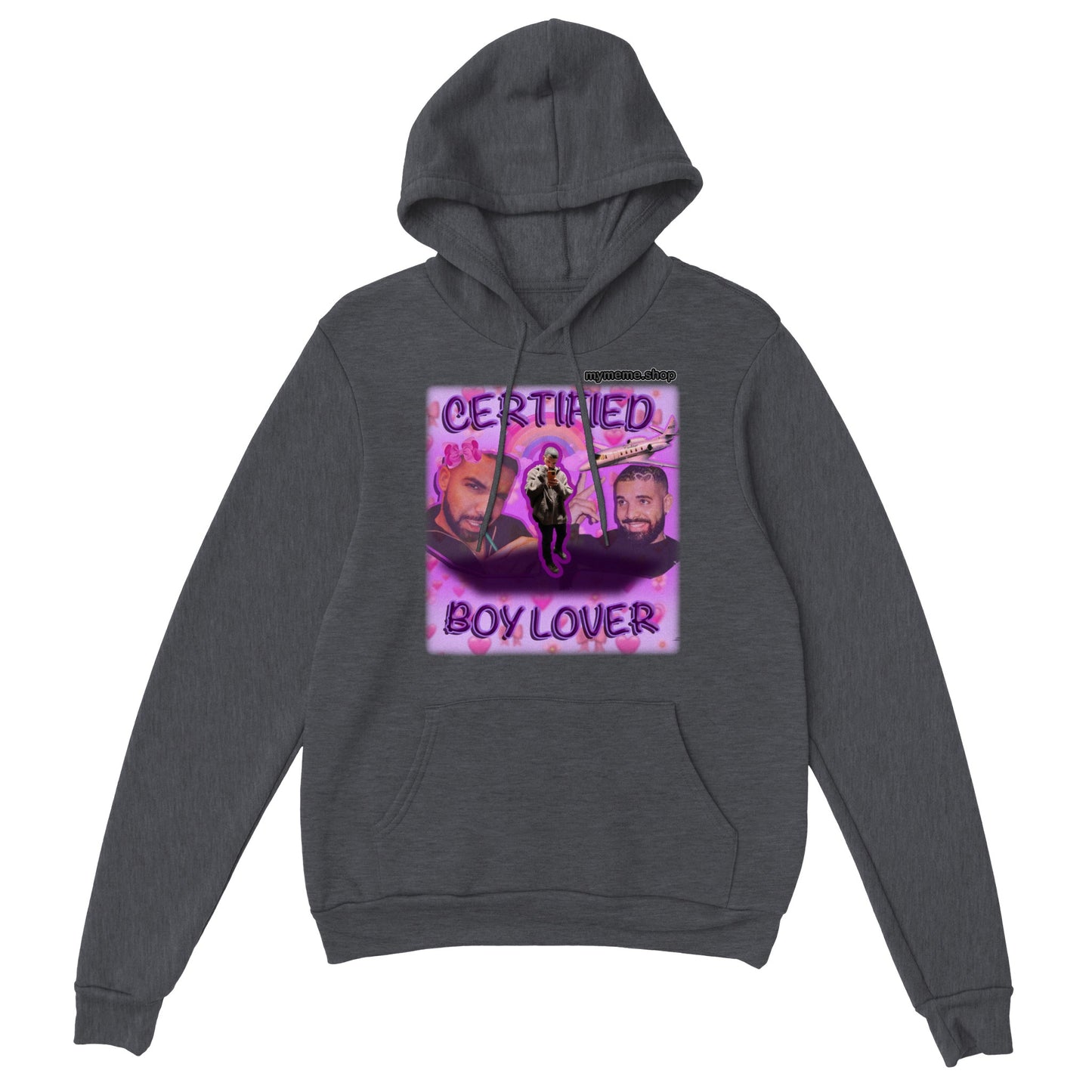 Certified Boy Lover Drake Hoodie