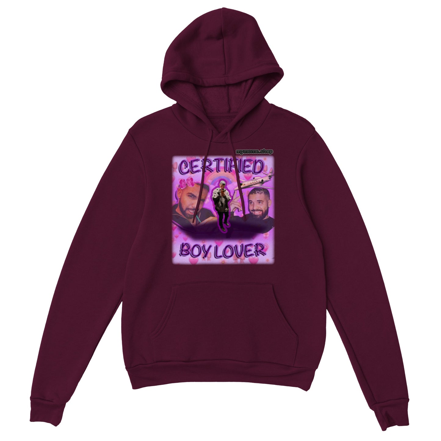 Certified Boy Lover Drake Hoodie